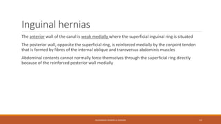 Inguinal hernias 
The anterior wall of the canal is weak medially where the superficial inguinal ring is situated 
The posterior wall, opposite the superficial ring, is reinforced medially by the conjoint tendon 
that is formed by fibres of the internal oblique and transversus abdominis muscles 
Abdominal contents cannot normally force themselves through the superficial ring directly 
because of the reinforced posterior wall medially 
MUHAMMAD RAMZAN UL REHMAN 14 
 