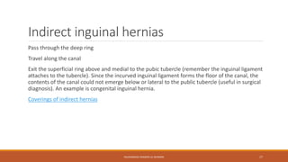 Indirect inguinal hernias 
Pass through the deep ring 
Travel along the canal 
Exit the superficial ring above and medial to the pubic tubercle (remember the inguinal ligament 
attaches to the tubercle). Since the incurved inguinal ligament forms the floor of the canal, the 
contents of the canal could not emerge below or lateral to the public tubercle (useful in surgical 
diagnosis). An example is congenital inguinal hernia. 
Coverings of indirect hernias 
MUHAMMAD RAMZAN UL REHMAN 17 
 
