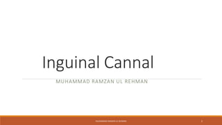 Inguinal Cannal 
MUHAMMAD RAMZAN UL REHMAN 
MUHAMMAD RAMZAN UL REHMAN 2 
 