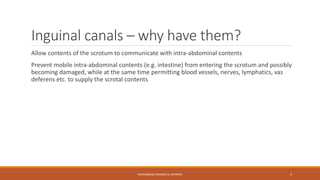 Inguinal canals – why have them? 
Allow contents of the scrotum to communicate with intra-abdominal contents 
Prevent mobile intra-abdominal contents (e.g. intestine) from entering the scrotum and possibly 
becoming damaged, while at the same time permitting blood vessels, nerves, lymphatics, vas 
deferens etc. to supply the scrotal contents 
MUHAMMAD RAMZAN UL REHMAN 3 
 