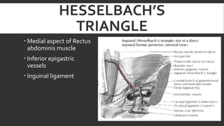 HESSELBACH’S
TRIANGLE
 Medial aspect of Rectus
abdominis muscle
 Inferior epigastric
vessels

 Inguinal ligament

 