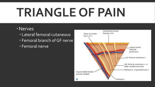 TRIANGLE OF PAIN
 Nerves
 Lateral femoral cutaneous
 Femoral branch of GF nerve
 Femoral nerve

 