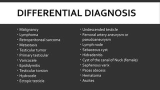 DIFFERENTIAL DIAGNOSIS
 Malignancy
 Lymphoma
 Retroperitoneal sarcoma
 Metastasis
 Testicular tumor
 Primary testicular
 Varicocele
 Epididymitis
 Testicular torsion
 Hydrocele
 Ectopic testicle

 Undescended testicle
 Femoral artery aneurysm or
pseudoaneurysm
 Lymph node
 Sebaceous cyst
 Hidradenitis
 Cyst of the canal of Nuck (female)
 Saphenous varix
 Psoas abscess
 Hematoma
 Ascites

 