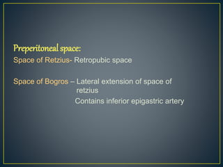 Preperitoneal space: 
Space of Retzius- Retropubic space 
Space of Bogros – Lateral extension of space of 
retzius 
Contains inferior epigastric artery 
 