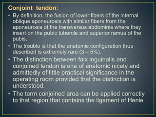 Conjoint tendon: 
• By definition, the fusion of lower fibers of the internal 
oblique aponeurosis with similar fibers from the 
aponeurosis of the transversus abdominis where they 
insert on the pubic tubercle and superior ramus of the 
pubis. 
• The trouble is that the anatomic configuration thus 
described is extremely rare (3 – 5%). 
• The distinction between falx inguinalis and 
conjoined tendon is one of anatomic nicety and 
admittedly of little practical significance in the 
operating room provided that the distinction is 
understood. 
• The term conjoined area can be applied correctly 
to that region that contains the ligament of Henle 
 