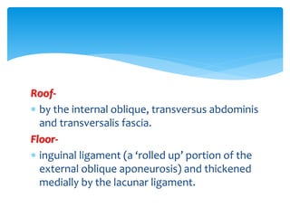 Roof-
 by the internal oblique, transversus abdominis
and transversalis fascia.
Floor-
 inguinal ligament (a ‘rolled up’ portion of the
external oblique aponeurosis) and thickened
medially by the lacunar ligament.
 