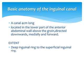  A canal 4cm long
 located in the lower part of the anterior
abdominal wall above the groin,directed
downwards, medially and forward.
EXTENT
 Deep inguinal ring to the superficial inguinal
ring.
Basic anatomy of the inguinal canal
 