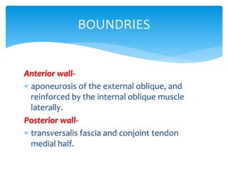 Anterior wall-
 aponeurosis of the external oblique, and
reinforced by the internal oblique muscle
laterally.
Posterior wall-
 transversalis fascia and conjoint tendon
medial half.
BOUNDRIES
 