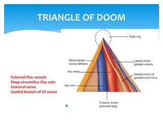 TRIANGLE OF DOOM
External iliac vessels
Deep circumflex iliac vein
Femoral nerve
Genital branch of GF nerve
 