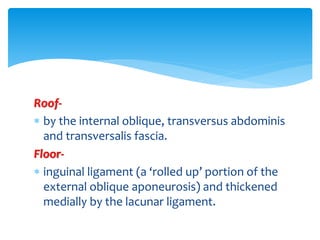 Roof-
 by the internal oblique, transversus abdominis
and transversalis fascia.
Floor-
 inguinal ligament (a ‘rolled up’...