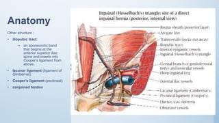 Anatomy
Other structure :
• iliopubic tract:
• an aponeurotic band
that begins at the
anterior superior iliac
spine and inserts into
Cooper’s ligament from
above.
• lacunar ligament (ligament of
Gimbernat)
• Cooper’s ligament (pectineal)
• conjoined tendon
 