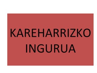 KAREHARRIZKO
INGURUA
 