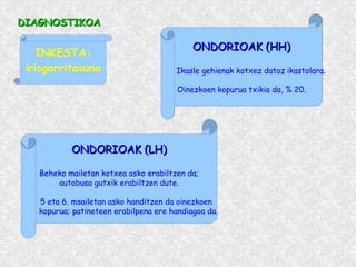 DIAGNOSTIKOADIAGNOSTIKOA
INKESTA:
irisgarritasuna
ONDORIOAK (HH)ONDORIOAK (HH)
Ikasle gehienak kotxez datoz ikastolara.
Oinezkoen kopurua txikia da, % 20.
ONDORIOAK (HH)ONDORIOAK (HH)
Ikasle gehienak kotxez datoz ikastolara.
Oinezkoen kopurua txikia da, % 20.
ONDORIOAK (LH)ONDORIOAK (LH)
Beheko mailetan kotxea asko erabiltzen da;
autobusa gutxik erabiltzen dute.
5 eta 6. msailetan asko handitzen da oinezkoen
kopurua; patineteen erabilpena ere handiagoa da.
 