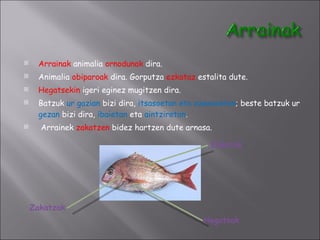 Arrainak  animalia  ornodunak  dira. Animalia  obiparoak  dira. Gorputza  ezkataz  estalita dute. Hegatsekin  igeri eginez mugitzen dira. Batzuk  ur gazian  bizi dira,  itsasoetan eta ozeanoetan ; beste batzuk ur  gezan  bizi dira,  ibaietan  eta  aintziretan . Arrainek  zakatzen  bidez hartzen dute arnasa. Zakatzak Hegatsak Ezkatak 