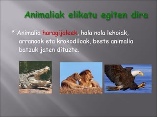 * Animalia  haragijaleek , hala nola lehoiak, arranoak eta krokodiloak, beste animalia batzuk jaten dituzte. 
