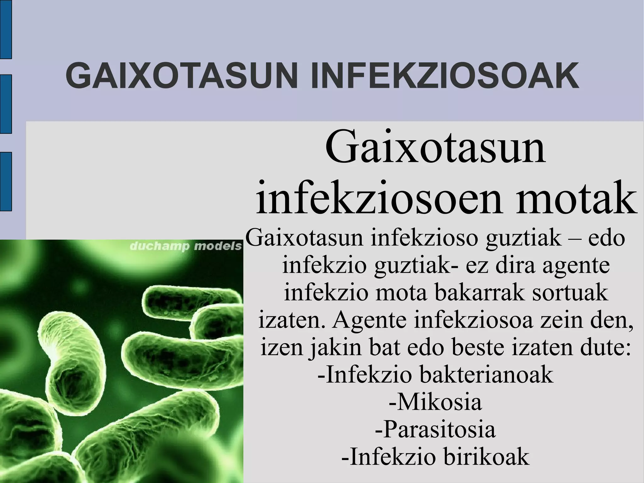 GAIXOTASUN INFEKZIOSOAK Gaixotasun infekziosoen motak Gaixotasun infekzioso guztiak – edo infekzio guztiak- ez dira agente infekzio mota bakarrak sortuak izaten. Agente infekziosoa zein den, izen jakin bat edo beste izaten dute: -Infekzio bakterianoak -Mikosia -Parasitosia -Infekzio birikoak 