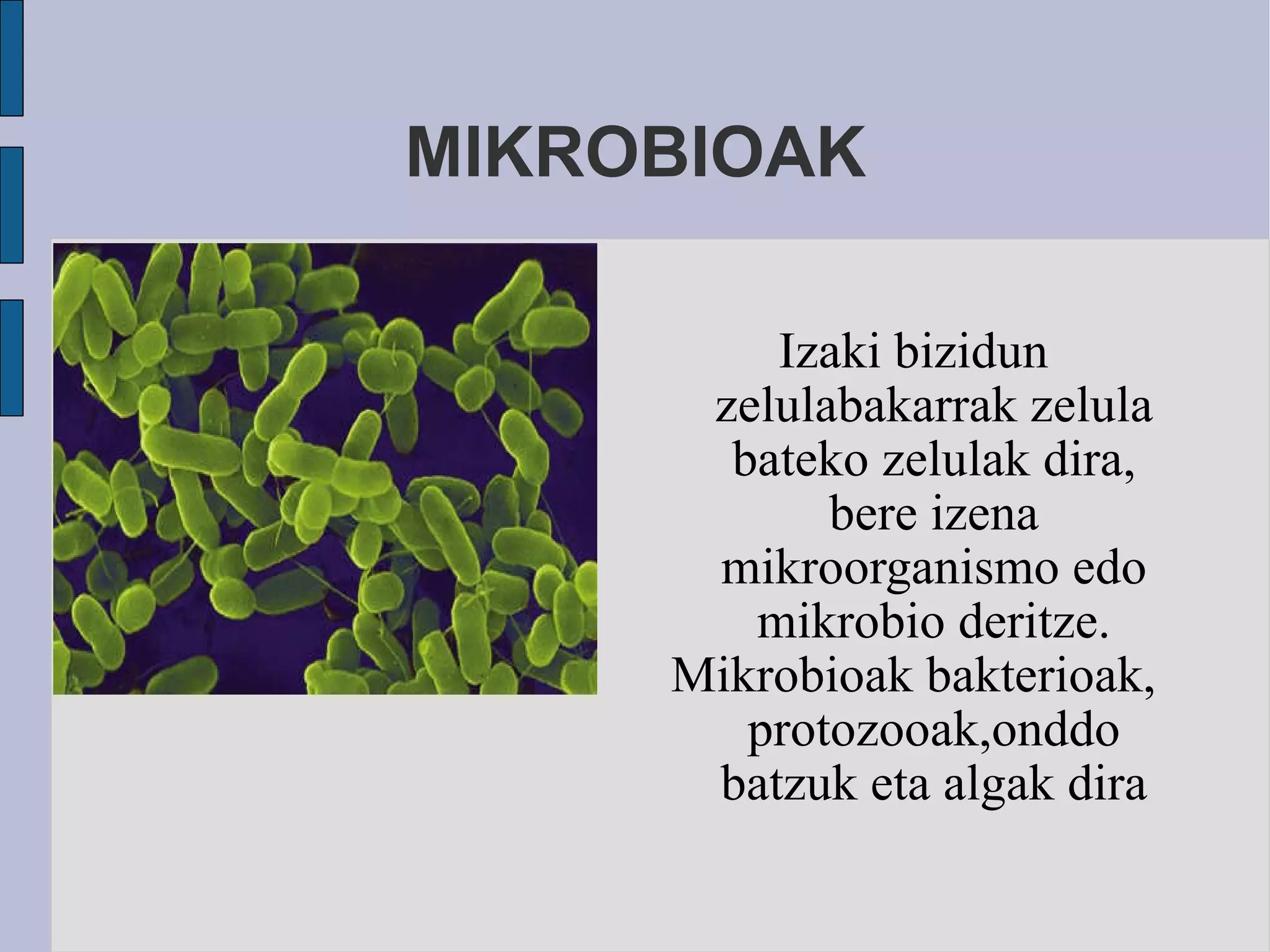 MIKROBIOAK Izaki bizidun zelulabakarrak zelula bateko zelulak dira, bere izena mikroorganismo edo mikrobio deritze. Mikrobioak bakterioak, protozooak,onddo batzuk eta algak dira 