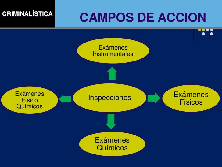 INGENIERÍA Y QUÍMICA FORENSE