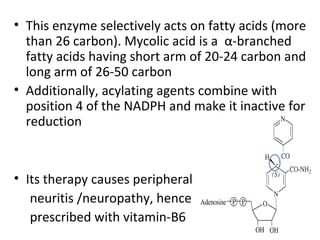 • This enzyme selectively acts on fatty acids (more
than 26 carbon). Mycolic acid is a α-branched
fatty acids having short arm of 20-24 carbon and
long arm of 26-50 carbon
• Additionally, acylating agents combine with
position 4 of the NADPH and make it inactive for
reduction
• Its therapy causes peripheral
neuritis /neuropathy, hence
prescribed with vitamin-B6
 