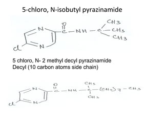 5-chloro, N-isobutyl pyrazinamide
5 chloro, N- 2 methyl decyl pyrazinamide
Decyl (10 carbon atoms side chain)
 