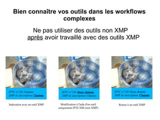 Bien connaître vos outils dans les workflows
                    complexes
                Ne pas utiliser des outils non XMP
              après avoir travaillé avec des outils XMP




IPTC n°120: Chatons              IPTC n°120: Deux chatons          IPTC n°120: Deux chatons
XMP dc:description: Chatons      XMP dc:description: Chatons       XMP dc:description: Chatons


Indexation avec un outil XMP    Modification à l'aide d'un outil      Retour à un outil XMP
                               uniquement IPTC/IIM (non XMP)
 