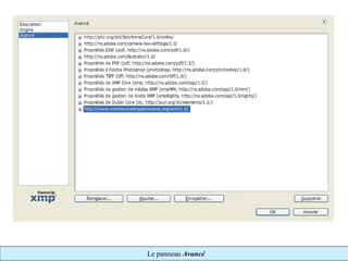 Le panneau Avancé
 