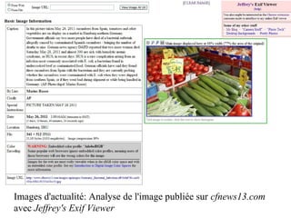 Images d'actualité: Analyse de l'image publiée sur cfnews13.com
avec Jeffrey's Exif Viewer
 