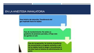 Comprehensive Overview of Inhalable Anesthetics: Types ...