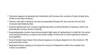 • Tolerance appears to develop that individuals will increase the number of tubes of glue they
inhale across days of abuse.
• Toluene and other inhalants can also be absorbed through the skin and the GI tract that
increases total body burden.
• Toluene blood levels can increase significantly with co-administration of ethanol, which can
dramatically increase levels of toxicity.
• Autoradiography studies have demonstrated high levels of radioactivity in body fat, the spinal
cord and spinal nerves, as well as the white matter of the brain in mice exposed to toluene
via inhalation.
• Several studies have shown that toluene exposure increases dopamine in the striatum, VTA
and prefrontal cortex.
• Repeated toluene exposure increases the amount of dopamine within the caudate and
nucleus accumbens.
 