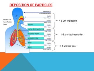 > 5 µm impaction
1-5 µm sedimentation
< 1 µm like gas
DEPOSITION OF PARTICLES
 