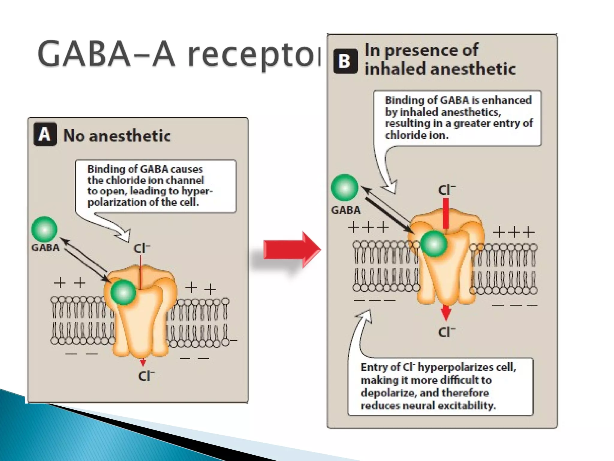 Inhalational Vector Inhalational Anesthetic Agents | PPT