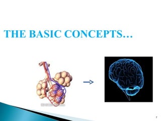 THE BASIC CONCEPTS…
7
 