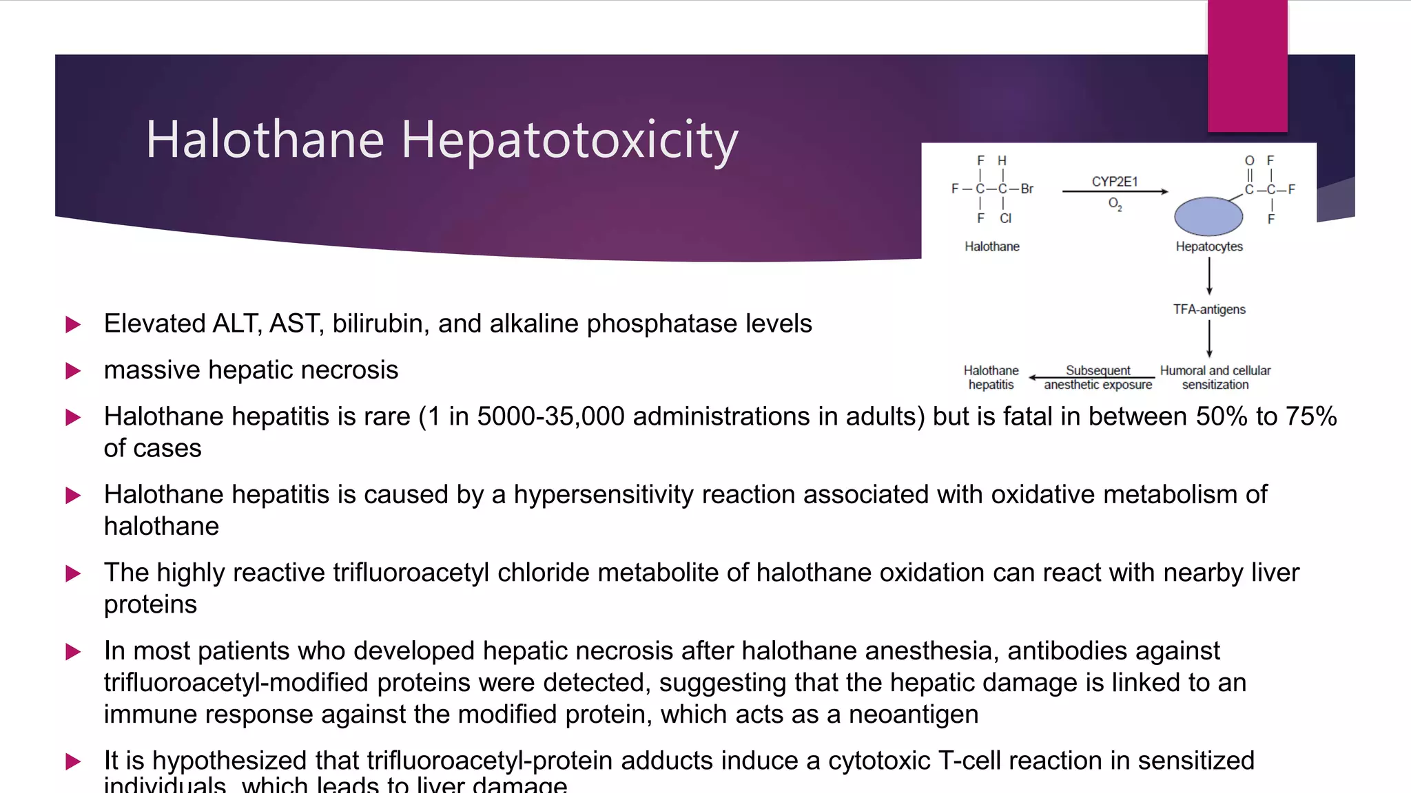 Halothane Hepatotoxicity
 Elevated ALT, AST, bilirubin, and alkaline phosphatase levels
 massive hepatic necrosis
 Halothane hepatitis is rare (1 in 5000-35,000 administrations in adults) but is fatal in between 50% to 75%
of cases
 Halothane hepatitis is caused by a hypersensitivity reaction associated with oxidative metabolism of
halothane
 The highly reactive trifluoroacetyl chloride metabolite of halothane oxidation can react with nearby liver
proteins
 In most patients who developed hepatic necrosis after halothane anesthesia, antibodies against
trifluoroacetyl-modified proteins were detected, suggesting that the hepatic damage is linked to an
immune response against the modified protein, which acts as a neoantigen
 It is hypothesized that trifluoroacetyl-protein adducts induce a cytotoxic T-cell reaction in sensitized
 