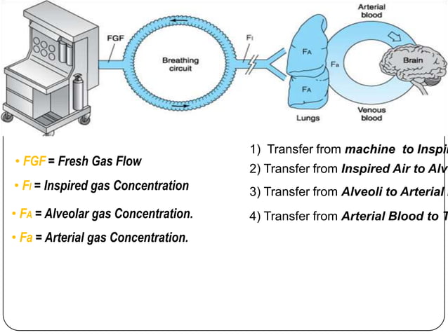 Inhalational anaesthetics pharmacokinetics & pharmacodynamics, uptake ...