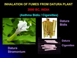 INHALATION OF FUMES FROM DATURA PLANT
2000 BC, INDIA
(Asthma Bidis / Cigarettes)
Datura
Stramonium
Datura
Bidis
Datura
Cigarettes
 