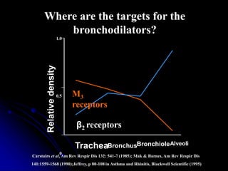 Carstairs et al, Am Rev Respir Dis 132: 541-7 (1985); Mak & Barnes, Am Rev Respir Dis
141:1559-1568 (1990);Jeffrey, p 80-108 in Asthma and Rhinitis, Blackwell Scientific (1995)
M3
receptors
Where are the targets for the
bronchodilators?
TracheaBronchusBronchioleAlveoli
β2 receptors
Relative
density
1.0
0.5
0
 