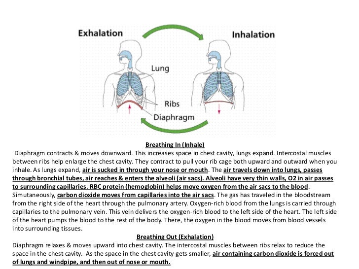 Inhalation exhalation