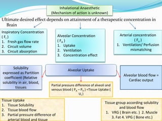 Inhalational Vector inhalation part 2.pptx