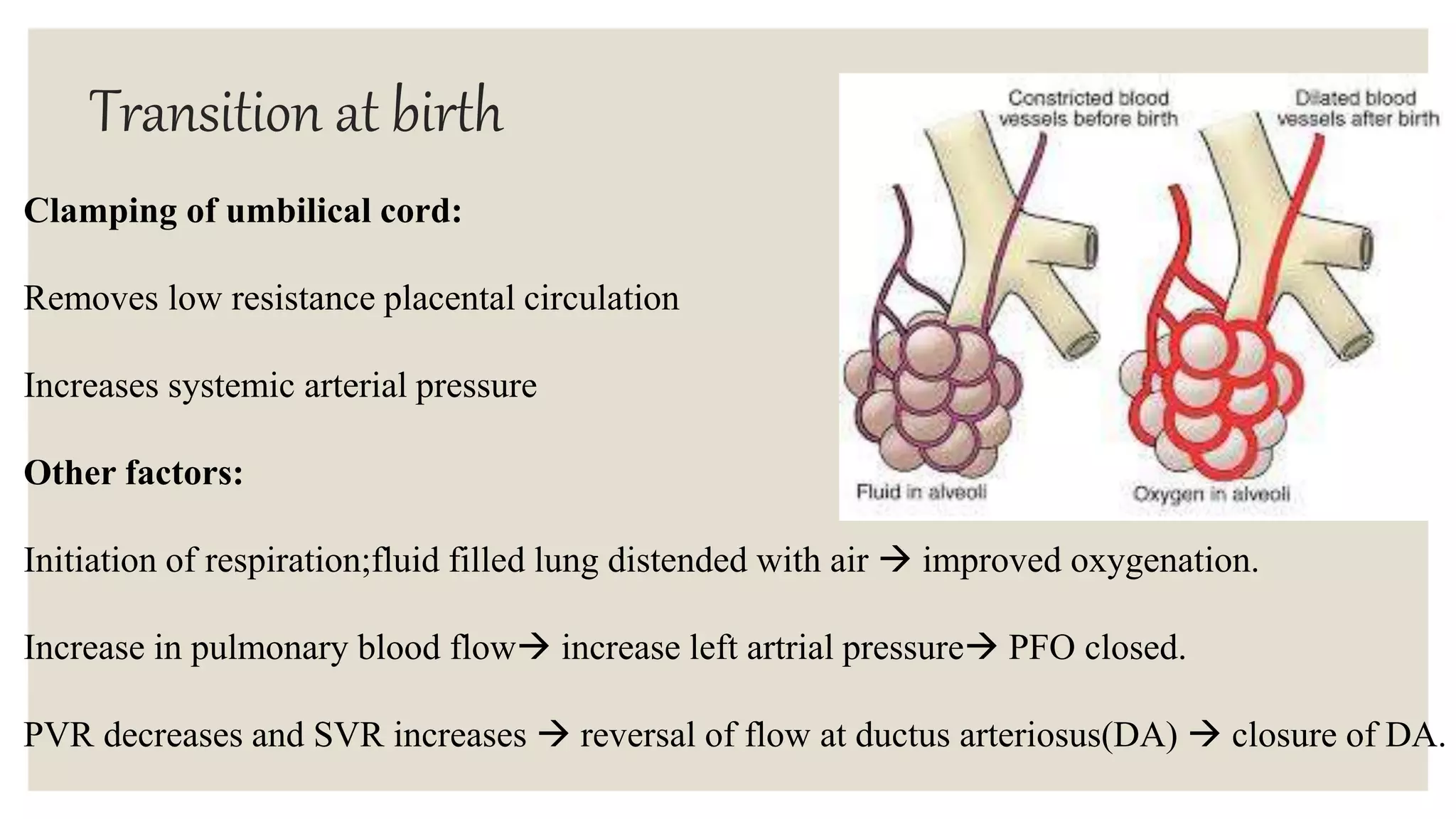 Transition at birth
Clamping of umbilical cord:
Removes low resistance placental circulation
Increases systemic arterial pressure
Other factors:
Initiation of respiration;fluid filled lung distended with air  improved oxygenation.
Increase in pulmonary blood flow increase left artrial pressure PFO closed.
PVR decreases and SVR increases  reversal of flow at ductus arteriosus(DA)  closure of DA.
 