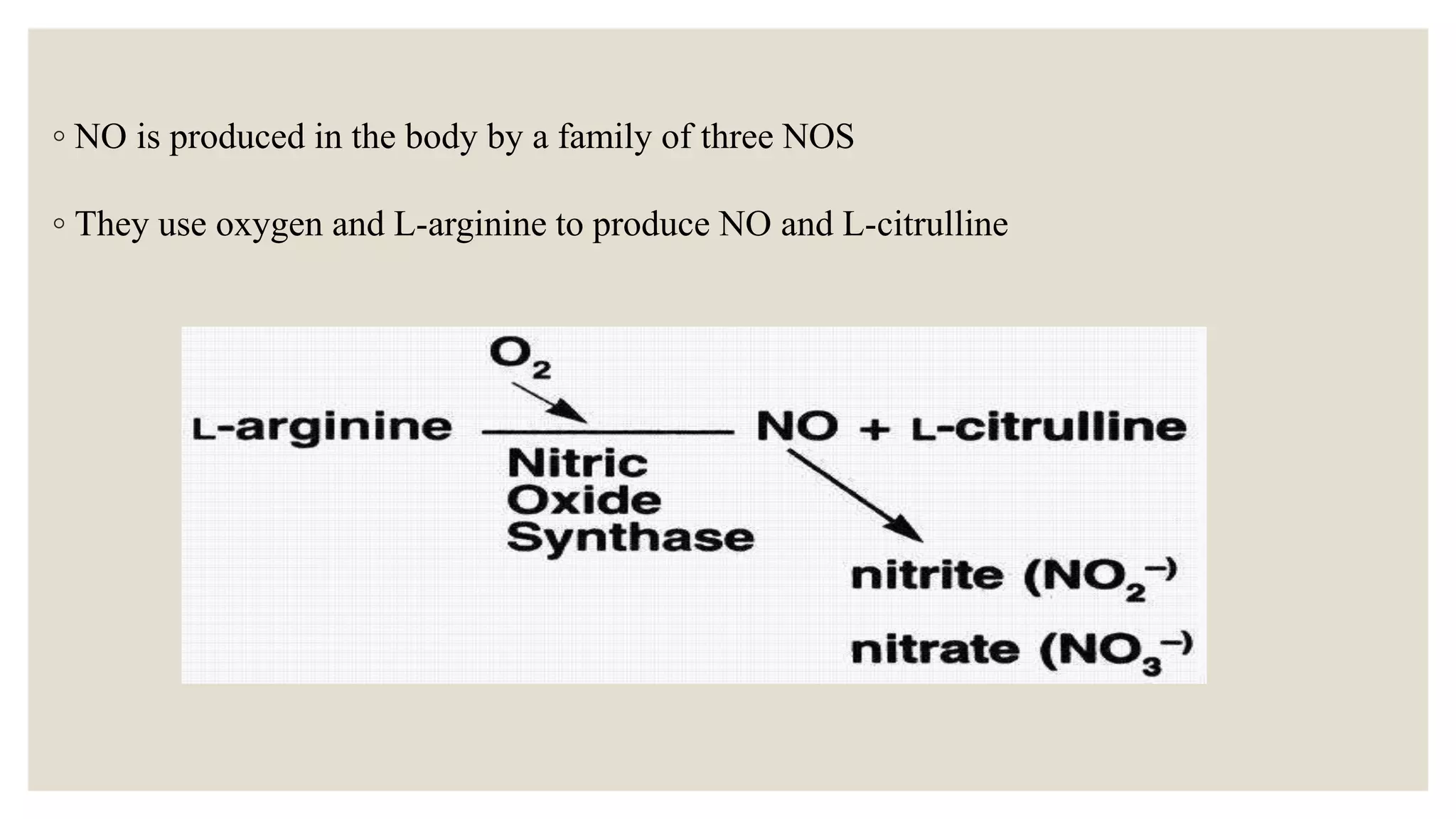 ◦ NO is produced in the body by a family of three NOS
◦ They use oxygen and L-arginine to produce NO and L-citrulline
 