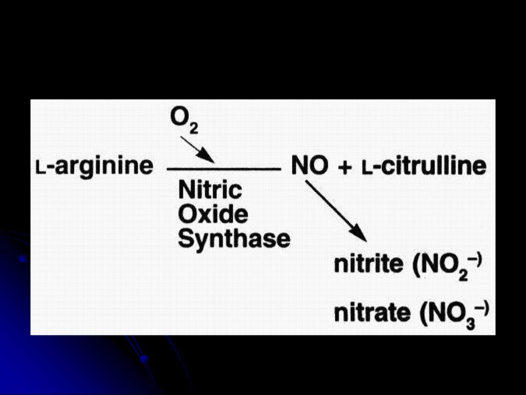 Inhaled Nitric Oxide in Acute Respiratory Distress Syndrome