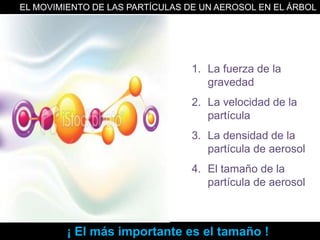 	EL MOVIMIENTO DE LAS PARTÍCULAS DE UN AEROSOL EN EL ÁRBOL RESPIRATORIO DEPENDE DE:La fuerza de la gravedadLa velocidad de la partículaLa densidad de la partícula de aerosolEl tamaño de la partícula de aerosol	¡ El más importante es el tamaño !
