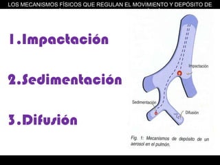 LOS MECANISMOS FÍSICOS QUE REGULAN EL MOVIMIENTO Y DEPÓSITO DE LAS PARTÍCULAS DE UN AEROSOL EN LA VÍA AÉREA SON:ImpactaciónSedimentaciónDifusión 