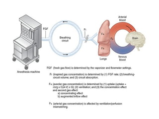 Inhalational Vector Inhaltional anaesthesia inhalational anaesthesia | PPTX