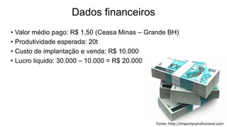 Dados financeiros
• Valor médio pago: R$ 1,50 (Ceasa Minas – Grande BH)
• Produtividade esperada: 20t
• Custo de implantação e venda: R$ 10.000
• Lucro liquido: 30.000 – 10.000 = R$ 20.000
Fonte: http://importarprofissional.com
 
