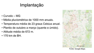 Implantação
• Curvelo – MG
• Média pluviométrica de 1000 mm anuais.
• Temperatura média de 23 graus Celsius anual.
• Plantio de outubro a março (quente e úmido).
• Altitude média de 672 m.
• 170 km de BH.
Fonte: Google Maps
 