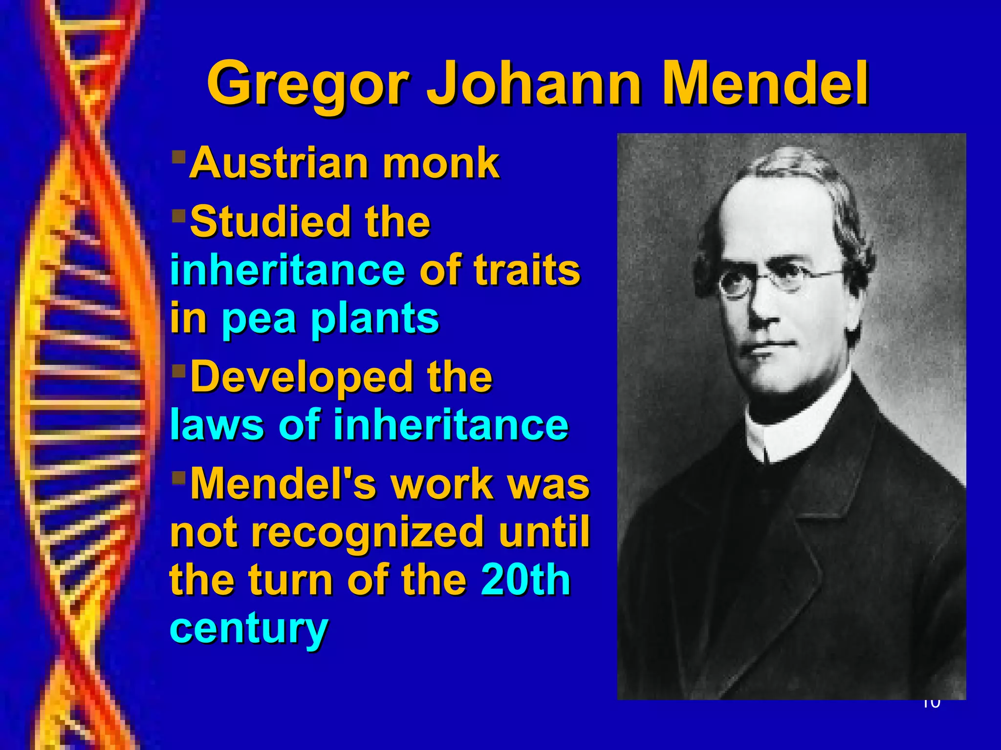 10
Gregor Johann MendelGregor Johann Mendel
Austrian monkAustrian monk
Studied theStudied the
inheritanceinheritance of traitsof traits
inin pea plantspea plants
Developed theDeveloped the
laws of inheritancelaws of inheritance
Mendel's work wasMendel's work was
not recognized untilnot recognized until
the turn of thethe turn of the 20th20th
centurycentury
 