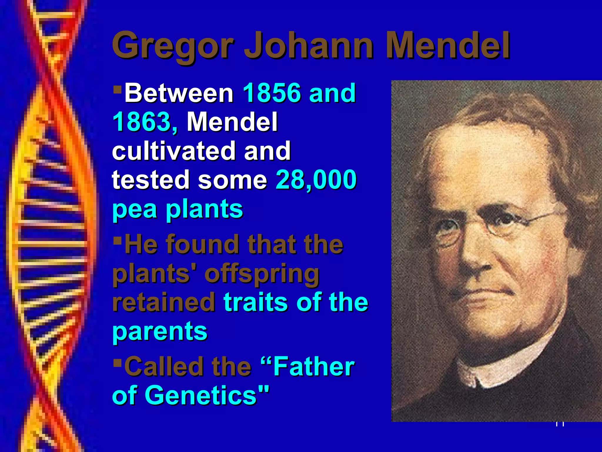 11
Gregor Johann MendelGregor Johann Mendel
BetweenBetween 1856 and1856 and
1863,1863, MendelMendel
cultivated andcultivated and
tested sometested some 28,00028,000
pea plantspea plants
He found that theHe found that the
plants' offspringplants' offspring
retainedretained traits of thetraits of the
parentsparents
Called theCalled the “Father“Father
of Genetics"of Genetics"
 