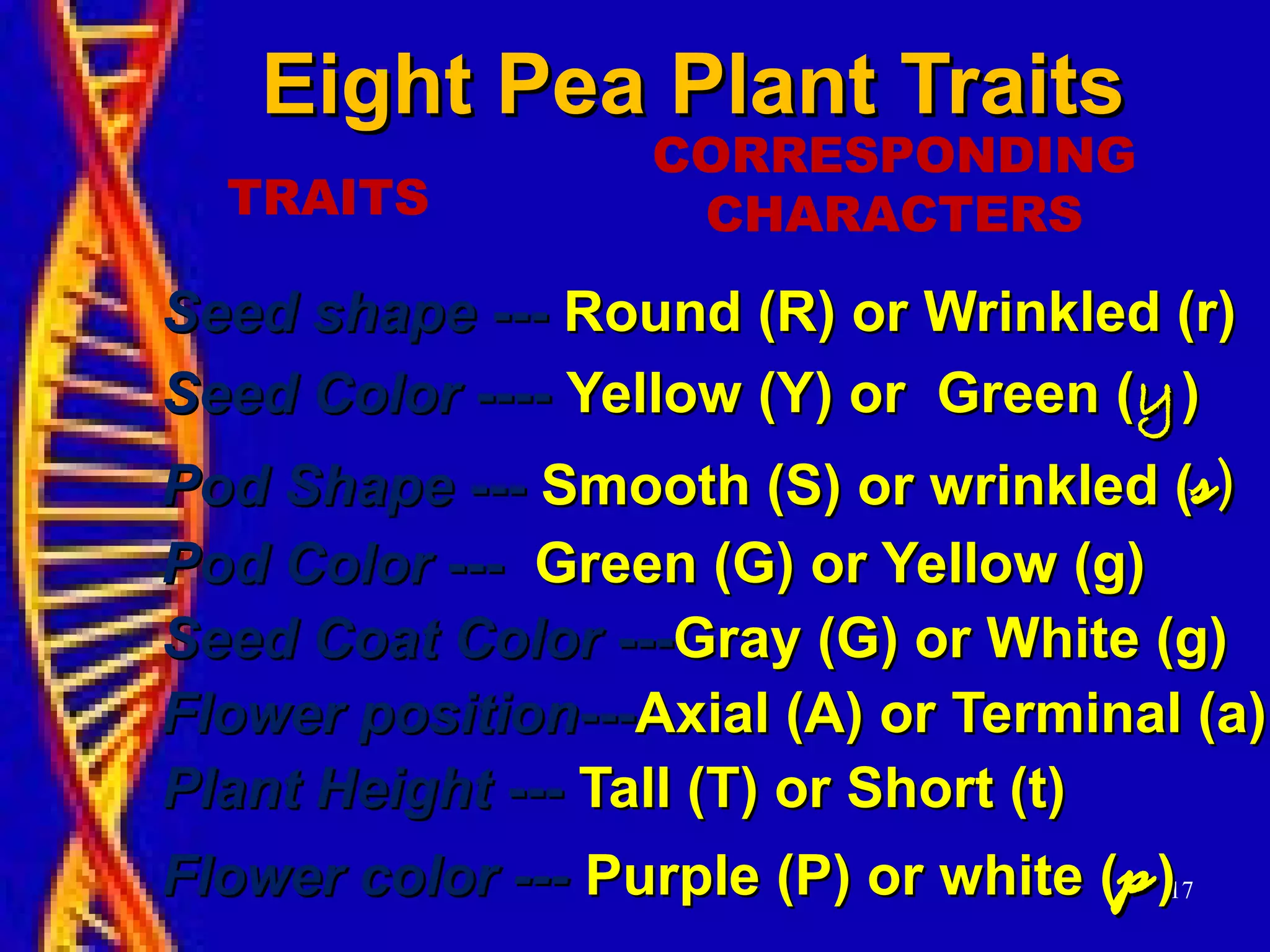 17
Eight Pea Plant TraitsEight Pea Plant Traits
Seed shapeSeed shape ------ Round (R) or Wrinkled (r)Round (R) or Wrinkled (r)
Seed ColorSeed Color -------- Yellow (Y) or Green (Yellow (Y) or Green (yy))
Pod ShapePod Shape ------ Smooth (S) or wrinkled (Smooth (S) or wrinkled (ss))
Pod ColorPod Color ------ Green (G) or Yellow (g)Green (G) or Yellow (g)
Seed Coat ColorSeed Coat Color ------Gray (G) or White (g)Gray (G) or White (g)
Flower positionFlower position------Axial (A) or Terminal (a)Axial (A) or Terminal (a)
Plant HeightPlant Height ------ Tall (T) or Short (t)Tall (T) or Short (t)
Flower color ---Flower color --- Purple (P) or white (Purple (P) or white (pp))
TRAITS
CORRESPONDING
CHARACTERS
 