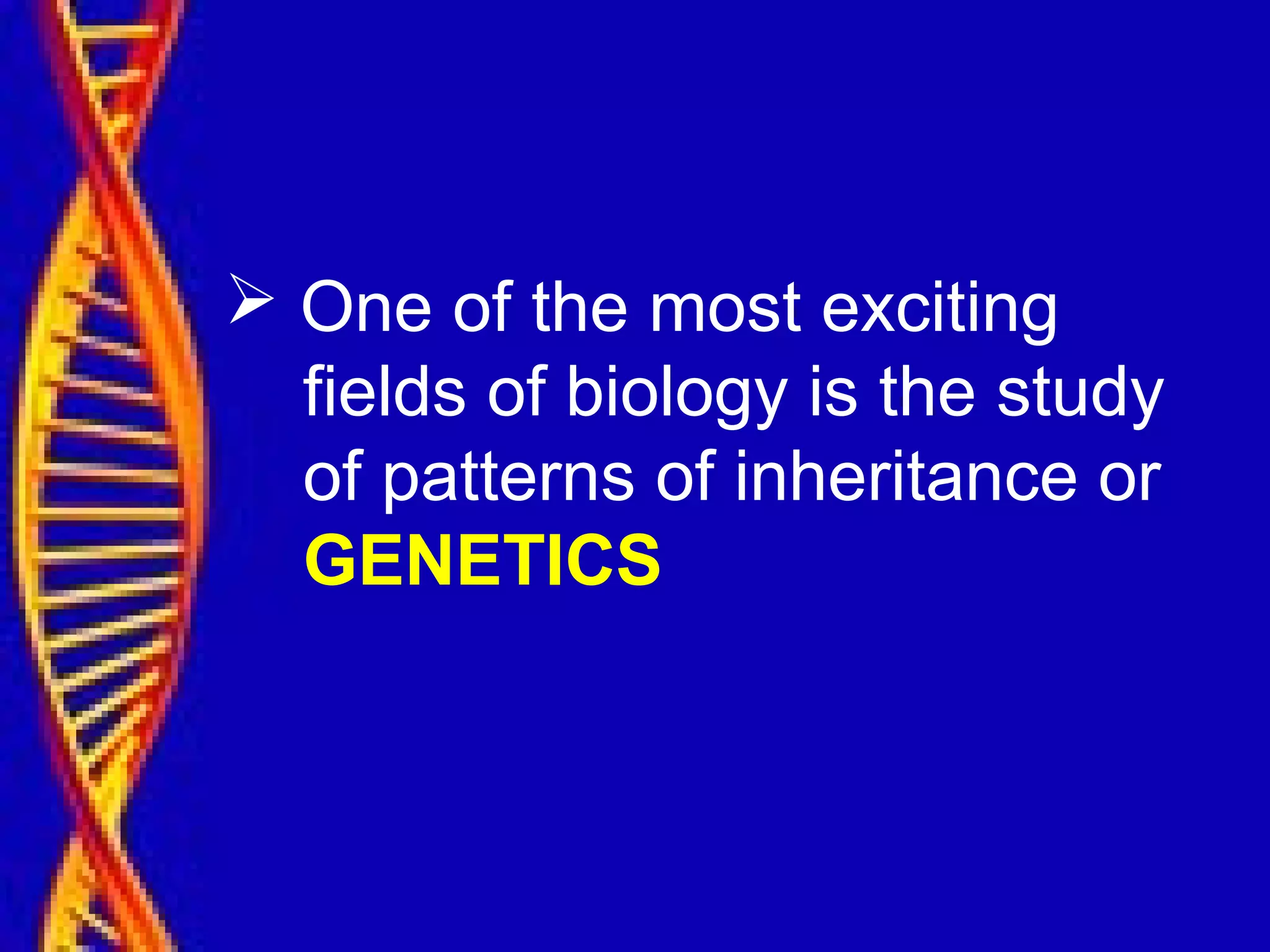  One of the most exciting
fields of biology is the study
of patterns of inheritance or
GENETICS
 